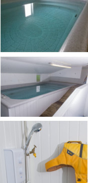 Splash - Canine Hydrotheraphy & Training Centre : Baughurst, Hampshire : Swimming Pool Facilities